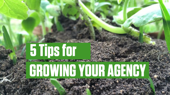 Top 5 Business Growth Tips on How to Scale Your Agency